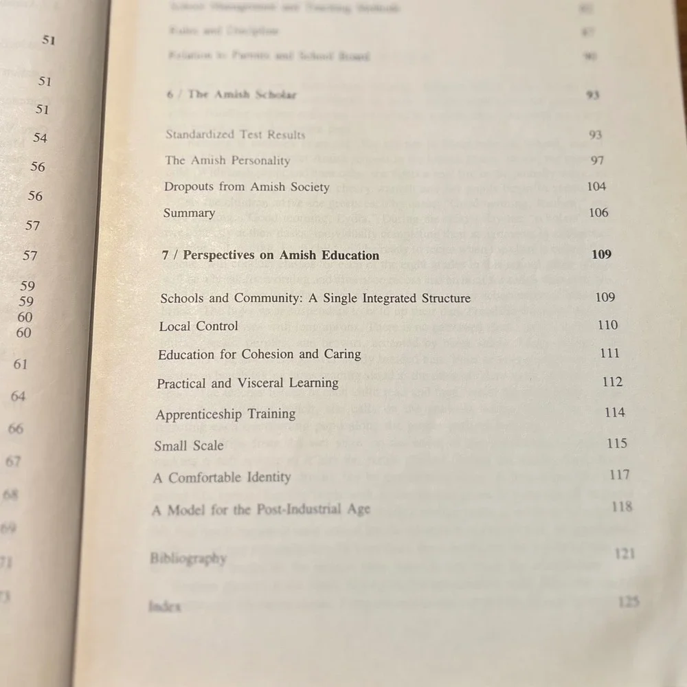 Amish Children Education Family School Community 2nd Ed Hostetler 1992 Sociology